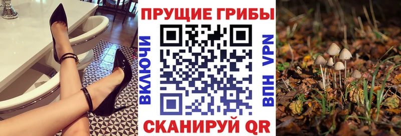 Галлюциногенные грибы ЛСД  купить наркотики сайты  блэк спрут ONION  Керчь 